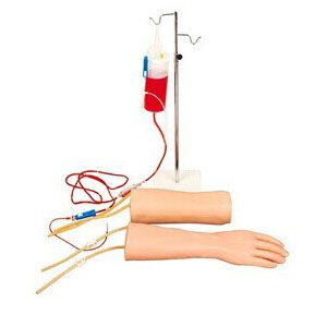 Hand and Elbow Combined Intravenous Transfusion Simulator